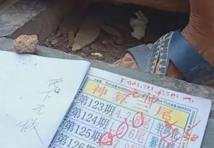 香港中特期期準(zhǔn)資料，深度解析與探索，香港中特期期準(zhǔn)資料深度解析與探索報(bào)告