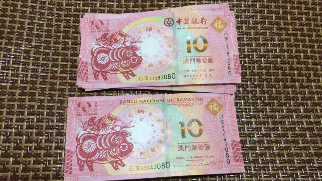新澳門生肖走勢圖，深度解析與預(yù)測，澳門生肖走勢圖深度解析及預(yù)測報告