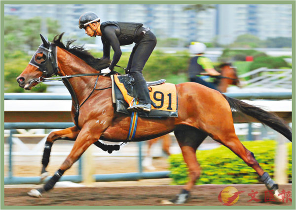香港賽馬，探索數(shù)字背后的激情與榮耀，香港賽馬，數(shù)字背后的激情與榮耀之旅