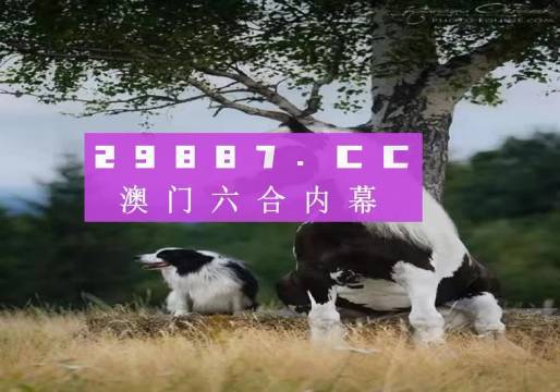 澳門天天空彩官網(wǎng)資料，探索彩票世界的門戶，澳門天天空彩官網(wǎng)資料，彩票世界探索門戶