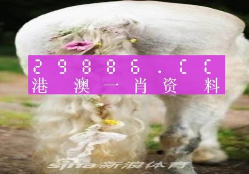 澳門(mén)羊了個(gè)羊與各大圖庫(kù)的資料揭秘，2023年澳門(mén)今晚必中一肖一碼永久免費(fèi)資料庫(kù)大解密，澳門(mén)羊了個(gè)羊與資料庫(kù)揭秘，2023年必中一肖一碼永久免費(fèi)資料大解密