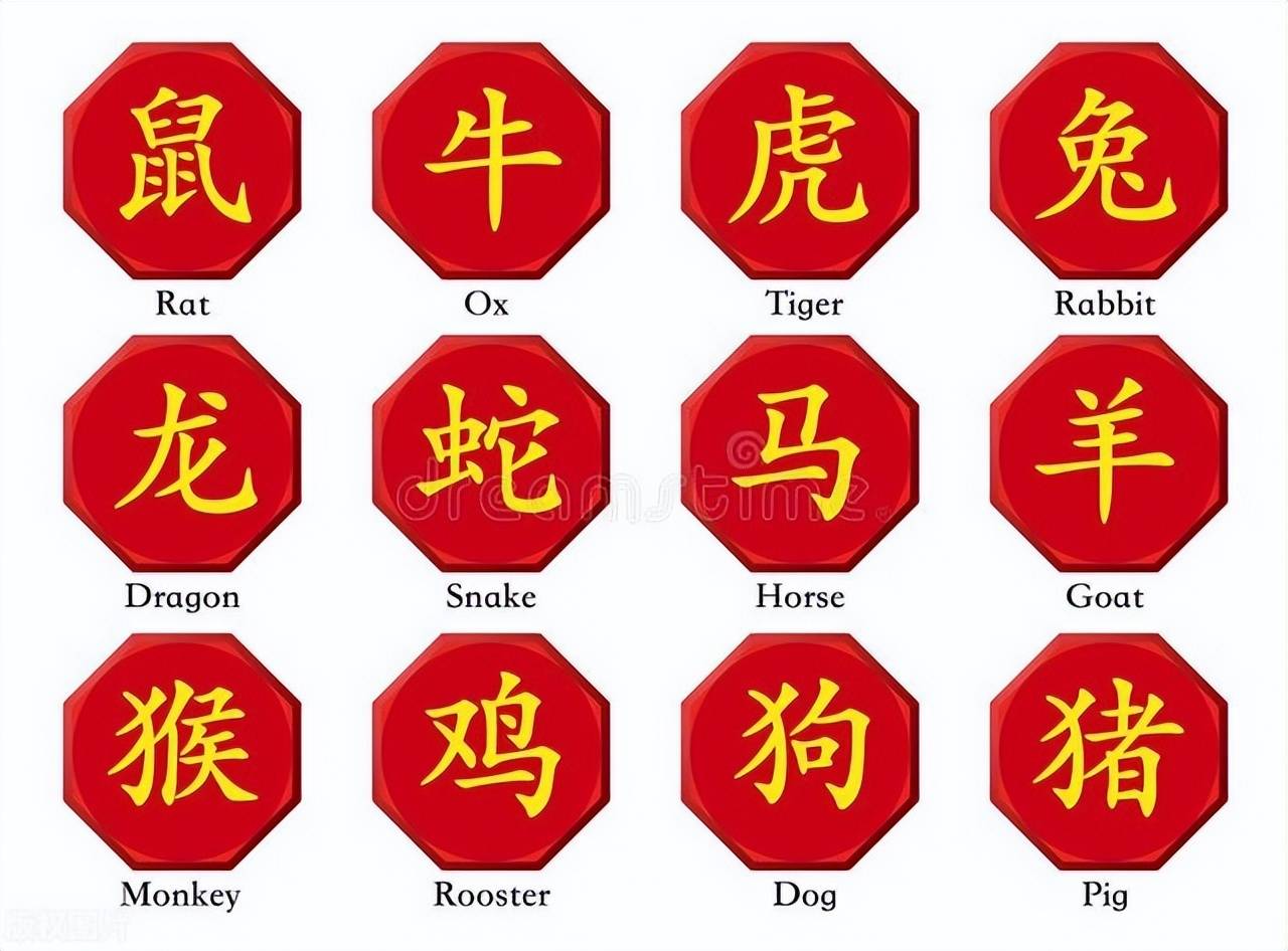 新澳特碼，羊?；⒏鲾?shù)10——揭秘背后的數(shù)字奧秘，揭秘新澳特碼數(shù)字奧秘，羊?；⒏鲾?shù)背后的秘密