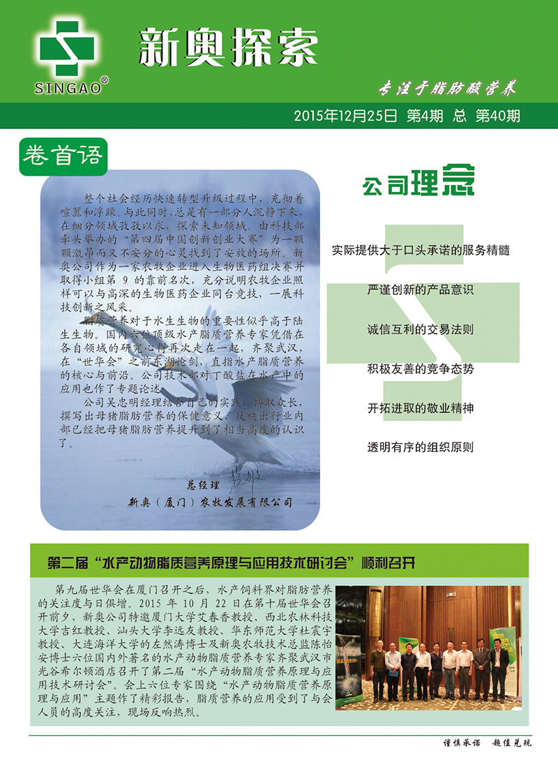 2025新澳正版資料查詢指南，2025新澳正版資料查詢手冊(cè)