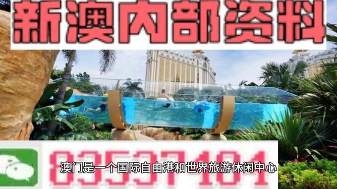 新澳的資料去哪里找——全面指南，新澳資料全攻略，尋找資料的途徑與指南