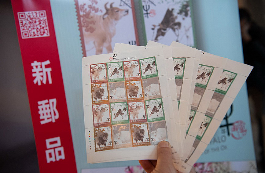 澳門值日生肖600圖庫與八百圖庫開獎，探索生肖圖庫的魅力與奧秘，澳門生肖圖庫開獎揭秘，探索值日生肖600圖庫與八百圖庫的魅力與奧秘