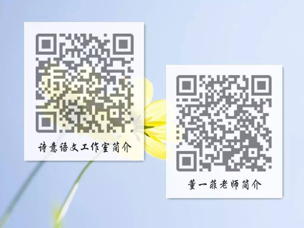 一碼一肖一特一，揭秘背后的秘密與獨特之處，揭秘一碼一肖一特一的獨特之處與背后秘密