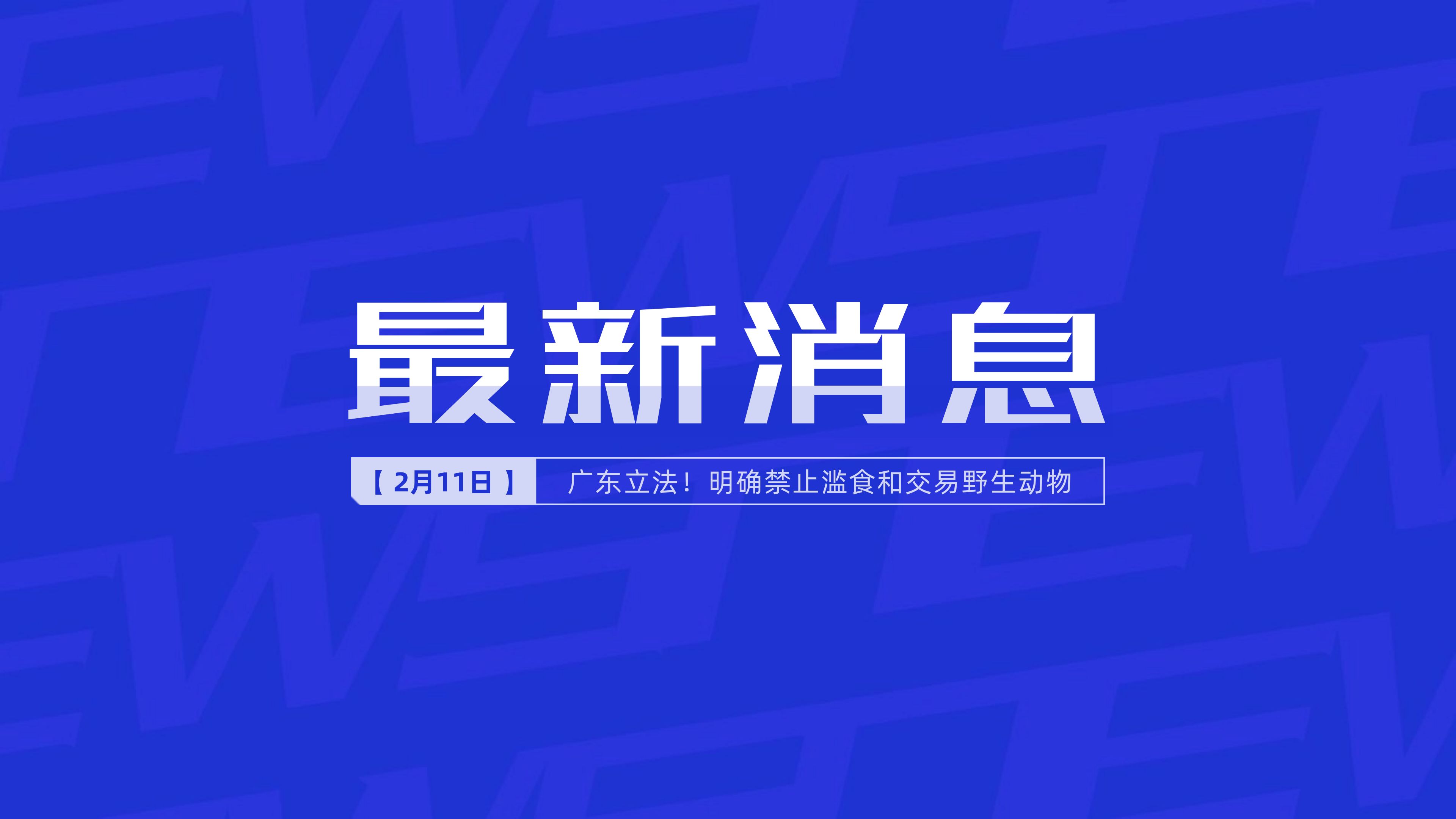 新聞最新新聞，掌握時(shí)事熱點(diǎn)，洞悉世界動(dòng)態(tài)，時(shí)事熱點(diǎn)速遞，掌握全球最新動(dòng)態(tài)新聞