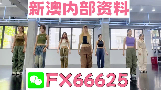 新澳持碼會資料詳解，新澳持碼會資料全面解析