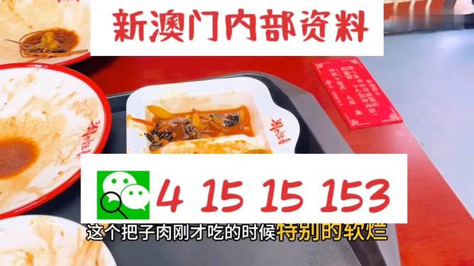 澳門王中王六碼新澳門，探索與解析，澳門王中王六碼新澳門，深度探索與解析
