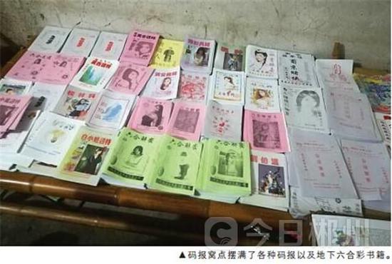 揭秘六肖期期中特期期期準(zhǔn)的奧秘，全面解析與策略分享，揭秘六肖期期中的奧秘，全面解析與策略分享