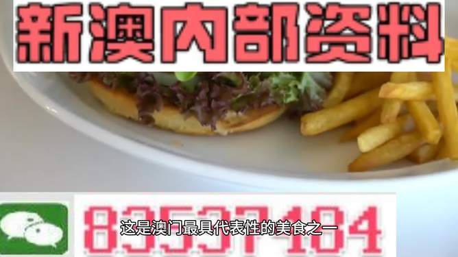 新澳2024生肖最新資料解析與預(yù)測，新澳2024生肖解析與預(yù)測報(bào)告