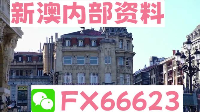 澳門六資料大全，深度探索與揭秘，澳門六資料大全，深度探索與揭秘之旅