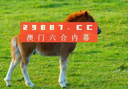 澳門答家婆一肖一馬一中一特，揭秘背后的秘密與獨特文化魅力，澳門文化魅力深度解析，答家婆一肖一馬一中一特的獨特傳統(tǒng)與秘密
