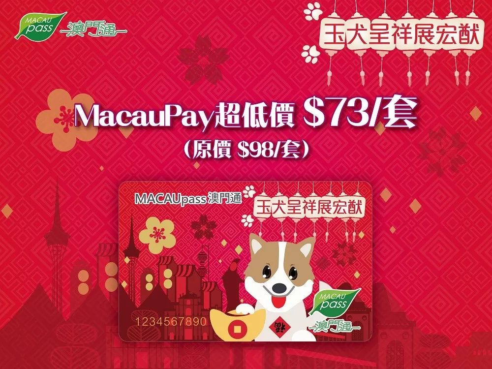 澳門生肖卡，探索未來(lái)的趨勢(shì)與機(jī)遇（2025年展望），澳門生肖卡，未來(lái)趨勢(shì)與機(jī)遇展望（2025年）