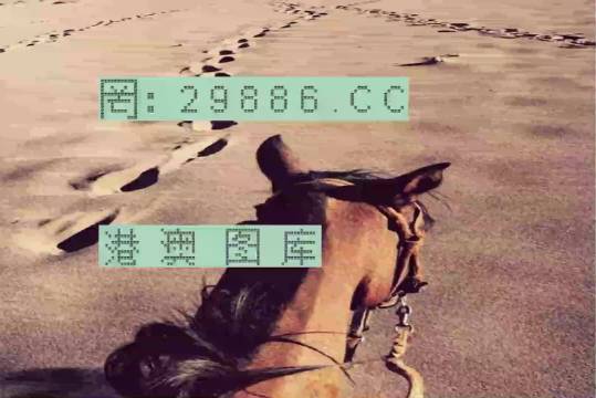 香港特馬資料王中王24期，深度解析與探索，香港特馬資料王中王深度解析與探索，第24期探索之旅
