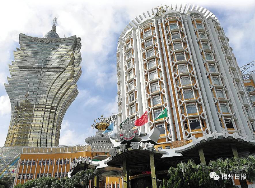 新澳門最精準——探索澳門的精準旅游體驗，澳門精準旅游探索，深度體驗澳門的獨特魅力