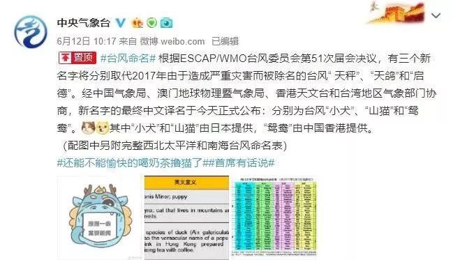新澳門(mén)必中三肖三碼三期必開(kāi)劉伯，揭秘彩票背后的秘密與策略，揭秘彩票背后的秘密與策略，劉伯的新澳門(mén)三期必開(kāi)三肖三碼預(yù)測(cè)技巧
