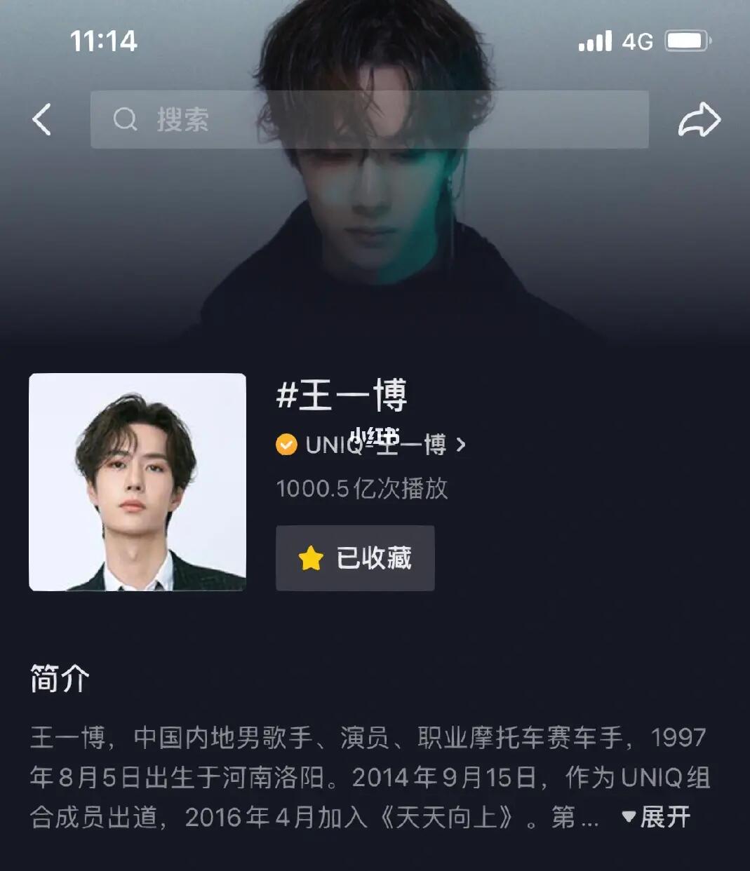 王中王一肖內(nèi)部資料詳解，王中王一肖內(nèi)部資料深度解析