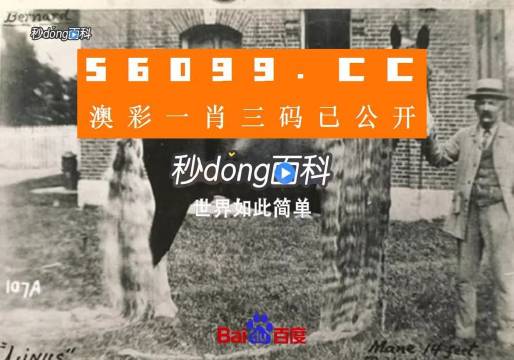 澳門王中王心水王中王，探索與解析，澳門王中王心水奧秘，深度探索與解析