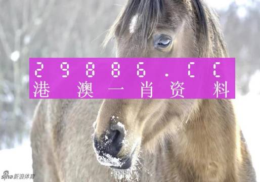 澳門一肖一碼背后的故事，一個關(guān)于精準(zhǔn)預(yù)測與傳奇的揭秘，澳門一肖一碼傳奇背后的精準(zhǔn)預(yù)測與揭秘之旅