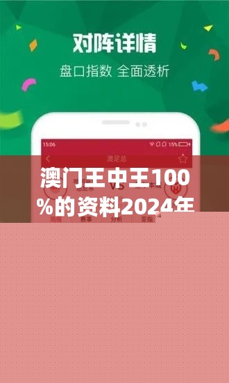 王中王網(wǎng)站一肖，探索與SEO優(yōu)化策略，王中王網(wǎng)站一肖，深度探索與SEO優(yōu)化策略實(shí)踐
