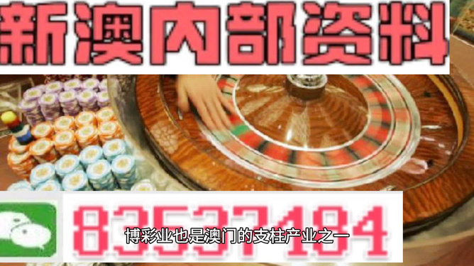 新澳正版資料免費(fèi)提供，全面解析與深度探索，新澳正版資料全面解析與深度探索，免費(fèi)提供的指南