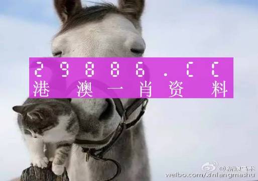 揭秘劉伯溫四肖選一碼的意思——探尋背后的故事與真相，揭秘劉伯溫四肖選一碼背后的真相與故事
