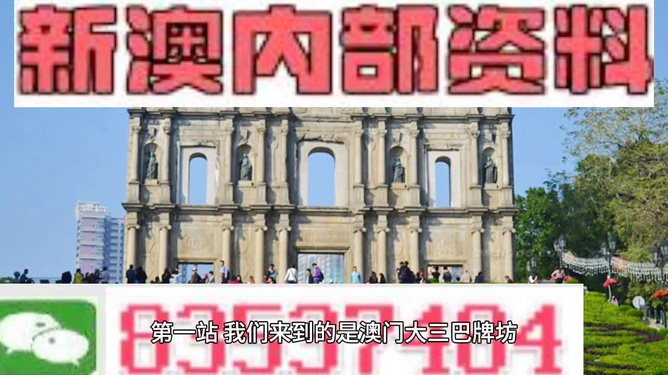 新澳門正版免費資料查詢指南，輕松掌握查找方法，澳門正版免費資料查詢指南，輕松掌握查找技巧