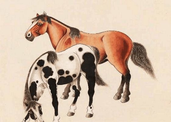 馬一王中王特平一肖圖，深度解析與SEO優(yōu)化策略，深度解析馬一王中王特平肖圖，SEO優(yōu)化策略探討