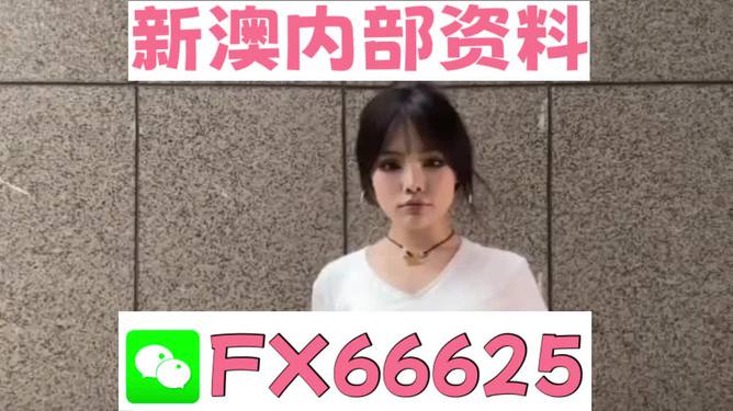 澳門正版資料大全完整版，探索與揭秘2025年澳門正版資料的世界，澳門正版資料大全揭秘，探索未來至2025年的奧秘世界
