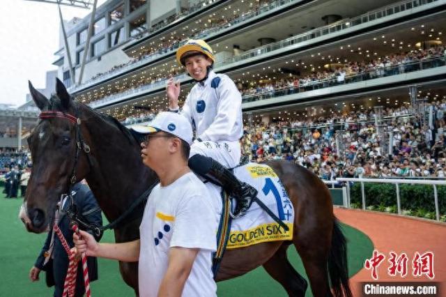 香港特馬王資料免費(fèi)公開，揭秘背后的秘密，香港特馬王資料揭秘，免費(fèi)公開背后的秘密