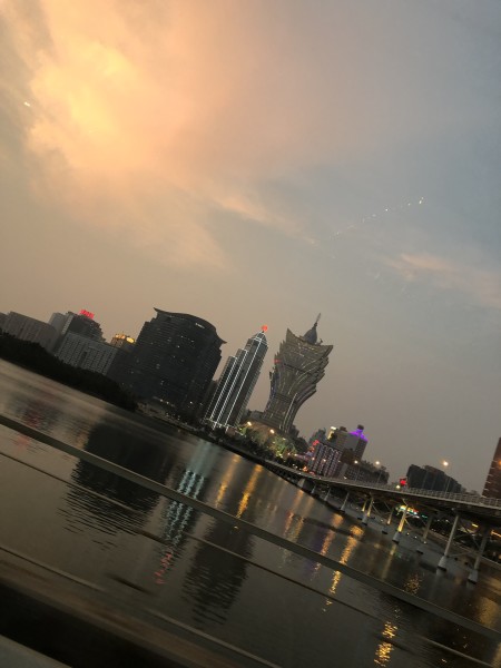 深度解析與預(yù)測 第8頁