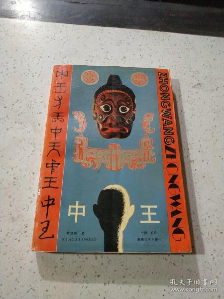 王中王資料與肖中特，深度解析，王中王資料與肖中特深度剖析