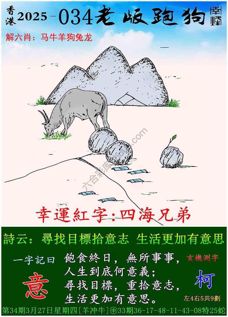 全新升級！探索7777788888新版跑狗資料，全新升級！探索跑狗資料7777788888新版揭秘