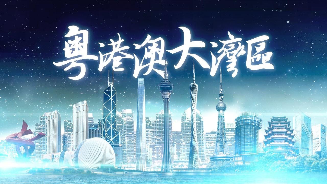 2025年香港正版免費資料全面解析，香港正版免費資料全面解析（2025版）