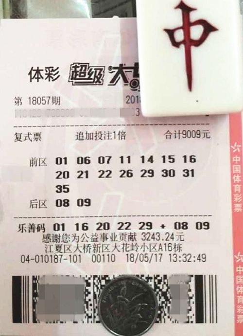 澳門六開彩天天開獎(jiǎng)結(jié)果查詢，輕松掌握最新動(dòng)態(tài)，澳門六開彩最新開獎(jiǎng)結(jié)果查詢，輕松掌握每日動(dòng)態(tài)