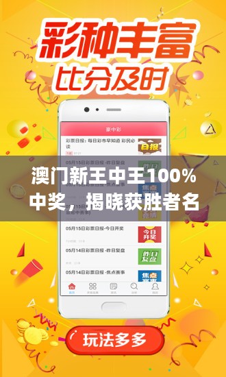 王中王藏寶閣猜一肖，揭秘背后的秘密與SEO策略，王中王藏寶閣猜一肖背后的秘密與SEO策略揭秘