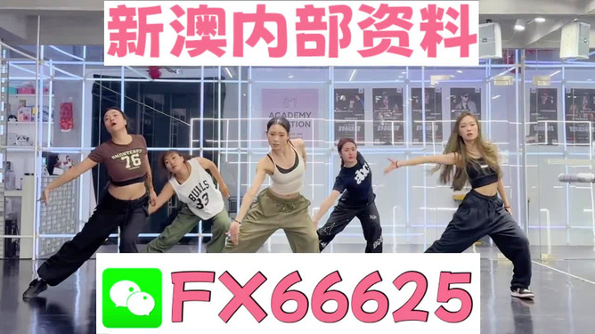 王中王內(nèi)部透肖一肖二碼，深度解析與探索，王中王內(nèi)部透肖一肖二碼深度解析與探索揭秘