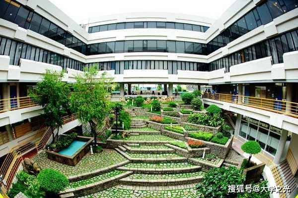 新澳芳草，最精準(zhǔn)的探尋與體驗(yàn)，新澳芳草，精準(zhǔn)探尋與獨(dú)特體驗(yàn)