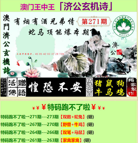 王中王資料一肖特圖，深度解析與探索，王中王資料特圖深度解析與探索