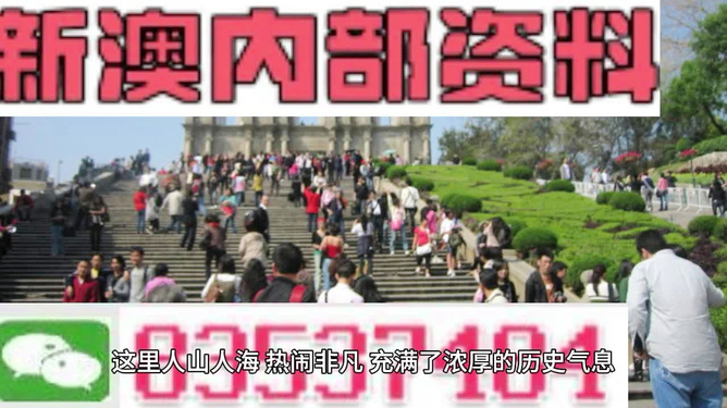 澳門最精準免費資料大全旅游團，探索澳門之旅的完美選擇，澳門最精準免費資料大全旅游團，探索澳門之旅的不二之選