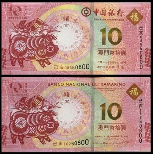 澳門天天彩期期精準(zhǔn)十二生肖預(yù)測——揭秘彩票背后的秘密，澳門天天彩期期精準(zhǔn)十二生肖預(yù)測，彩票背后的秘密大揭秘