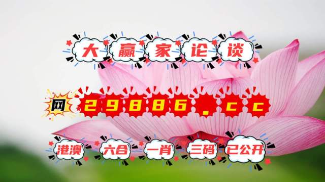 王中王資料提供一肖中特，深度解析與SEO優(yōu)化策略，王中王資料揭秘，一肖中特深度解析與SEO優(yōu)化策略全攻略