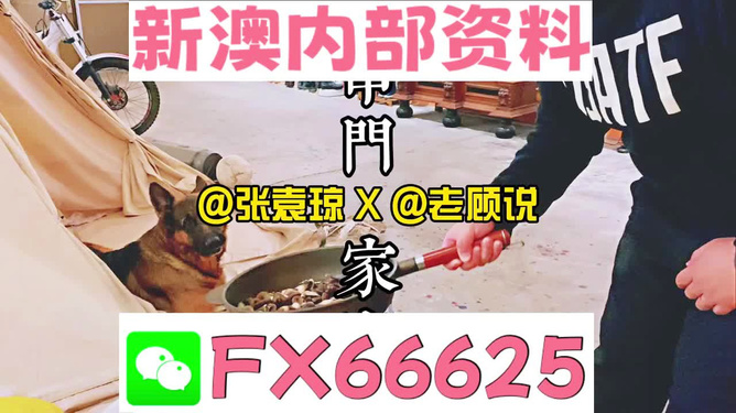 新澳門精準(zhǔn)資料大全，管家婆料解析與探索，澳門精準(zhǔn)資料大全，管家婆料解析與深度探索