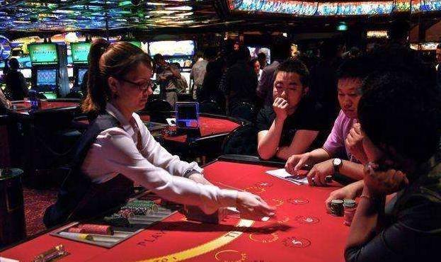 澳門金牛王中王一肖，探索背后的神秘與魅力，澳門金牛王中王一肖，神秘魅力背后的探索