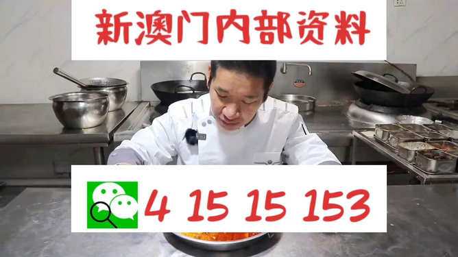 管家婆一肖資料大全，深度解析與探索，管家婆一肖資料深度解析與探索大全