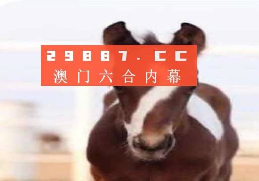 澳門必開一肖一碼安穩(wěn)，揭秘彩票背后的秘密與策略，揭秘彩票背后的秘密與策略，澳門必開一肖一碼安穩(wěn)探討