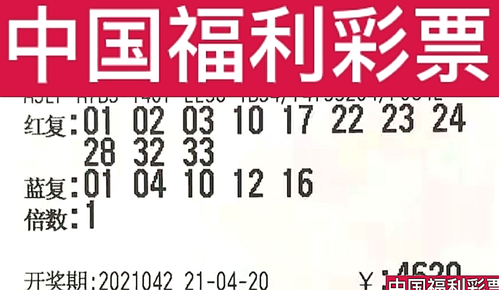 新奧門今晚開獎結(jié)果查詢第243期，全面解析與預(yù)測，新奧門第243期開獎結(jié)果解析與預(yù)測，今晚開獎揭秘