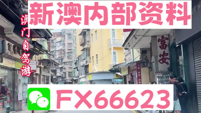 新澳精準(zhǔn)資料免費(fèi)提供，探索與實(shí)踐的指南，新澳精準(zhǔn)資料免費(fèi)分享，探索與實(shí)踐的導(dǎo)航指南