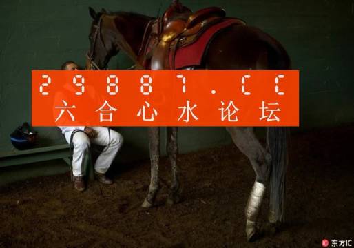 一肖一馬王中王一馬中特，深度解析與SEO優(yōu)化策略，一肖一馬王中王深度解析與SEO優(yōu)化策略探討